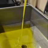 ...e per la capacit� del suo olio di mantenere intatte le proprie caratteristiche nel tempo. Un olio extravergine che non �invecchia�, ma evolve, conservando forza, identit� e carattere (foto della pagina facebook di "Terre di Coratina")
